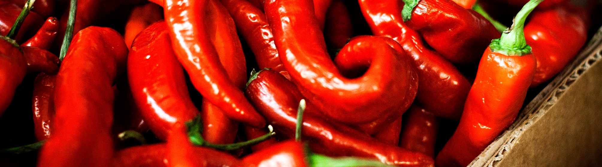 Durvill Foods Products